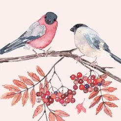 Bester Verkauf 💯 Paperproducts Design Servietten 33x33 Cm Joy Birds ✔️