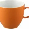 Schlussverkauf 🧨 Thomas Sunny Day Orange Kaffee Obertasse 🥰 1 Schlussverkauf 🧨 Thomas Sunny Day Orange Kaffee Obertasse 🥰 -geschenke Verkäufe b4825d80cfe19201c37080bd3e46f12b p1