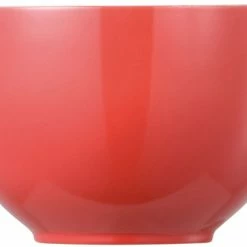 Bestes Angebot 🔔 Thomas Sunny Day New Red Müslischale 🥰